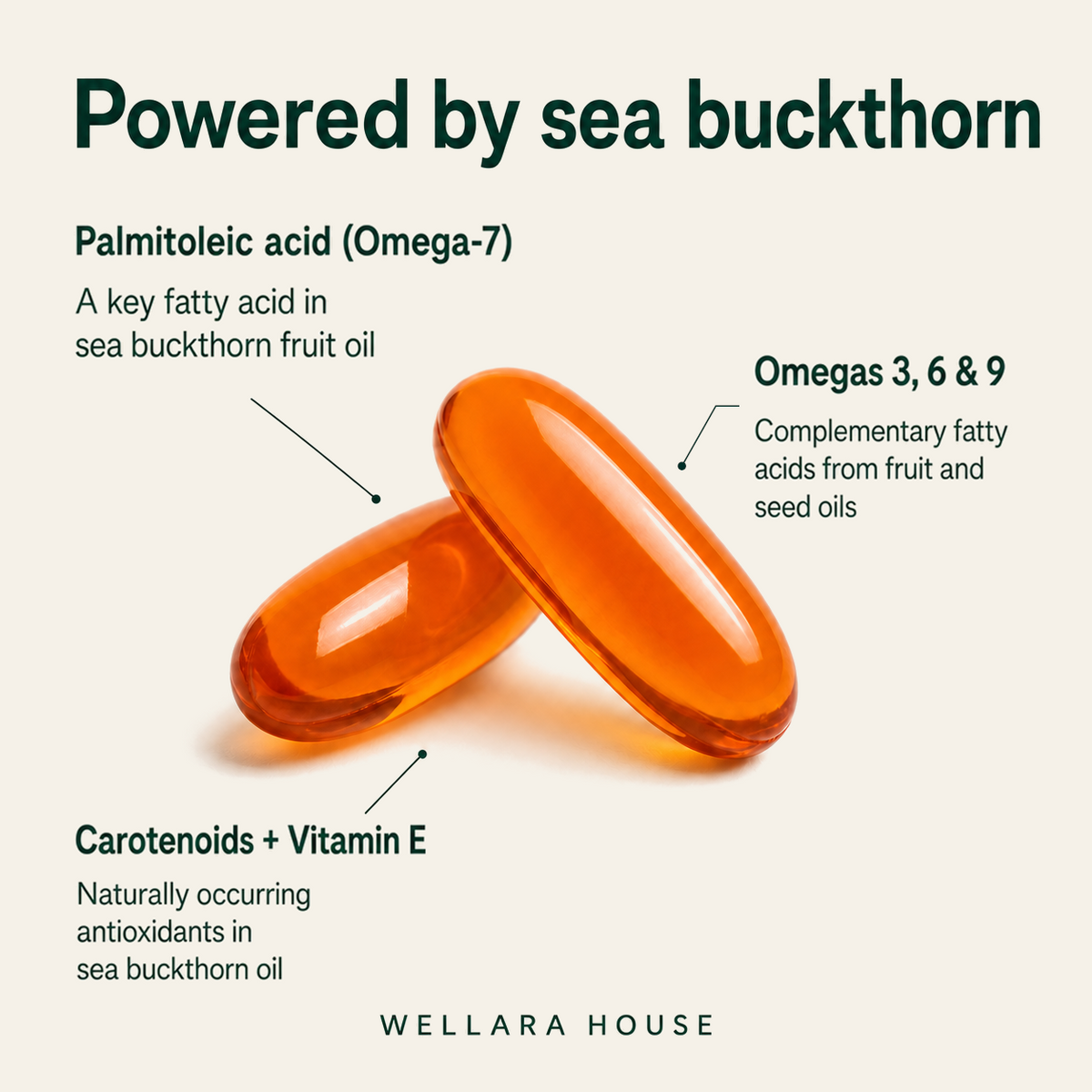 Sea Buckthorn Omega-7 Softgels